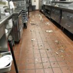 Commercial Cleaning in Tampa Florida